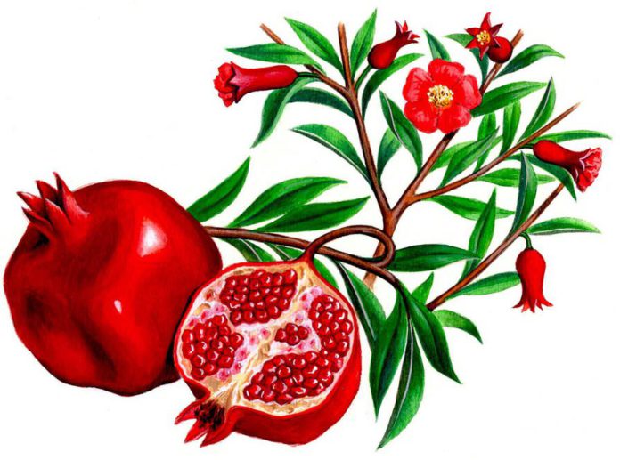 Food with low hemoglobin