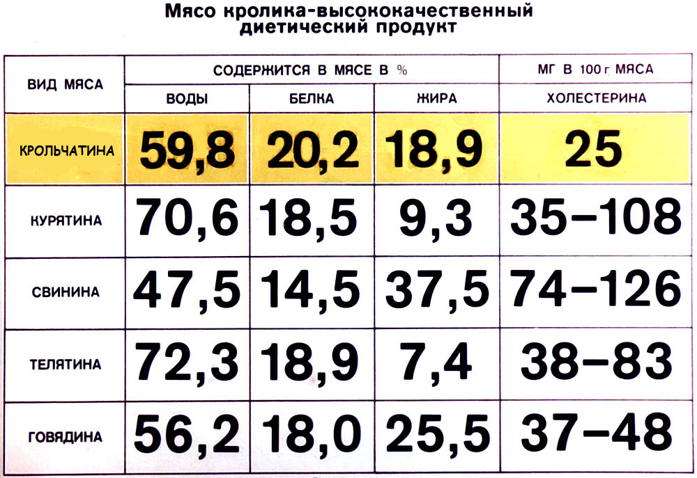 Мясо кролика польза и вред, калорийность